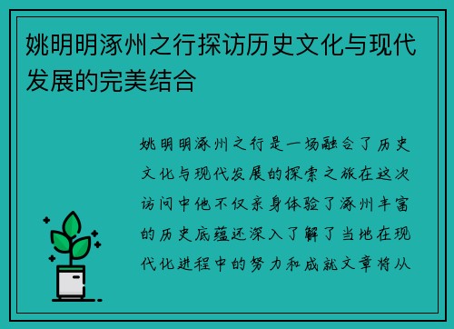 姚明明涿州之行探访历史文化与现代发展的完美结合